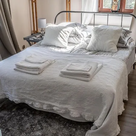 Mazurska Deluxe W Pasymiu Z Prywatnym Pomostem Na Jezioro Kalwa I Lodzia Na Wylacznosc Najwyzsze Premium W Osada Zamkowa ヴィラ パシム