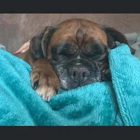 Mazurska Deluxe W Pasymiu Z Prywatnym Pomostem Na Jezioro Kalwa I Lodzia Na Wylacznosc Najwyzsze Premium W Osada Zamkowa Villa Pasym