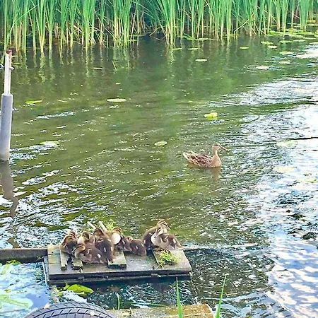 Villa Mazurska Deluxe W Pasymiu Z Prywatnym Pomostem Na Jezioro Kalwa I Lodzia Na Wylacznosc Najwyzsze Premium W Osada Zamkowa *
