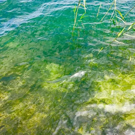 ヴィラ Mazurska Deluxe W Pasymiu Z Prywatnym Pomostem Na Jezioro Kalwa I Lodzia Na Wylacznosc Najwyzsze Premium W Osada Zamkowa パシム