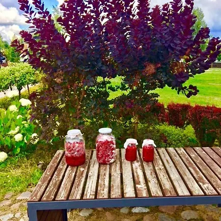 Mazurska Deluxe W Pasymiu Z Prywatnym Pomostem Na Jezioro Kalwa I Lodzia Na Wylacznosc Najwyzsze Premium W Osada Zamkowa * パシム