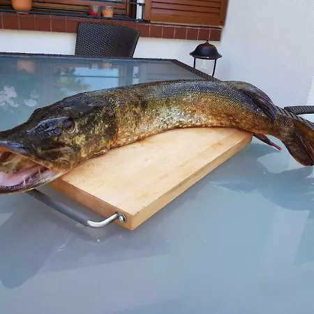 ヴィラ Mazurska Deluxe W Pasymiu Z Prywatnym Pomostem Na Jezioro Kalwa I Lodzia Na Wylacznosc Najwyzsze Premium W Osada Zamkowa パシム