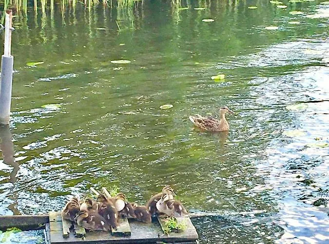 Villa Mazurska Deluxe: Lakeside Retreat With Private Pier On Kalwa *