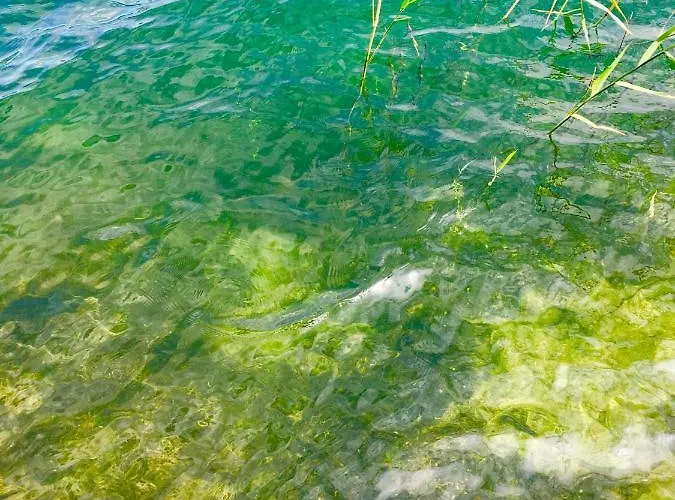 Villa Mazurska Deluxe: Lakeside Retreat With Private Pier On Kalwa Pasym