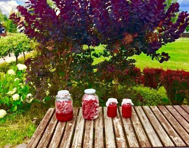 Mazurska Deluxe: Lakeside Retreat With Private Pier On Kalwa * Pasym